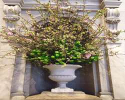 If you visited the museum, you have surely seen th If you visited the museum, you have surely seen the flower work of Remco van Vliet who makes flower arrangements each week for the museum. Vliet's fat